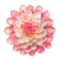 ai genererad lotus blomma med genomskinlighet png