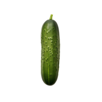 ai generado transparente Pepino gráficos png