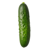 AI generated Fresh Green Cucumber with Transparent Background Clipart png