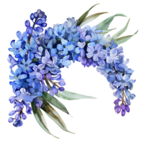 AI generated Delicate Hyacinth Blossom in Watercolor png