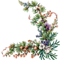 AI generated Serene Juniper Twig Illustration in Watercolor png