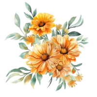 ai genererad luftig vattenfärg ClipArt av en calendula png