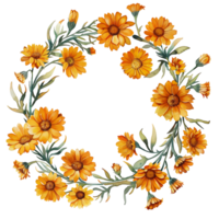 ai genererad elegant vattenfärg calendula blomma ClipArt png