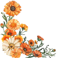 ai genererad delikat calendula blomma i vattenfärg png