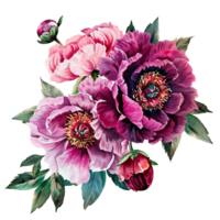 AI generated Dazzling Magenta Peony Flower Watercolor Clipart png