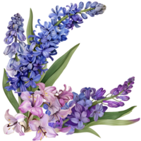 ai généré élégant aquarelle jacinthe fleur clipart png