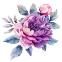 ai generato etereo acquerello magenta peonia fiore clipart png