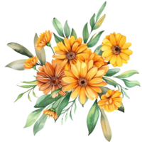 AI generated Serene Calendula Bloom Illustration in Watercolor png