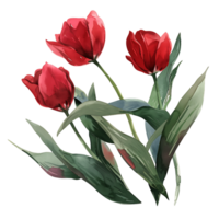 AI generated Whimsical Tulip Blooms in Watercolor png