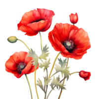 AI generated Dreamy Red Poppy Watercolor Artwork png