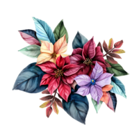 AI generated Subdued Poinsettia Watercolor Illustration png