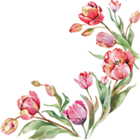 ai généré rêveur tulipe bouquet dans aquarelle png