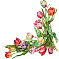ai généré ensoleillé tulipe fleurit aquarelle art png