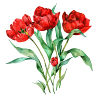 AI generated Tranquil Watercolor Tulip Composition png