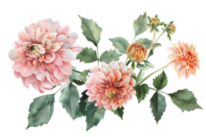 ai généré eucalyptus enchantement avec rose fleurit png