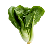 AI generated See Through Leafy Green, Encouraging Artistic Compositions and Unique Culinary Graphics png