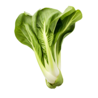 ai generado transparente bok choy, agregando vibrante color a gráfico composiciones png