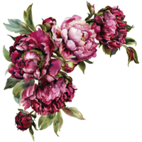 AI generated Delicate Watercolor Magenta Peony Illustration png