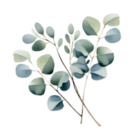 AI generated Pastel Eucalyptus in Watercolor on Transparent Canvas png