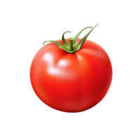 ai generiert Tomate Klarheit ausgeschnitten, gewährleisten präzise und Gut definiert kulinarisch visuell Elemente png