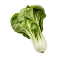 ai generado claro bok choy imágenes, alto calidad visuales para profesional culinario presentaciones png