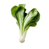 ai gegenereerd uitknippen bladerrijk groente, verbeteren ontwerp flexibiliteit in culinaire kunst png