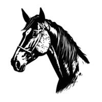 Horse silhouette animal black horses graphic vector illustration