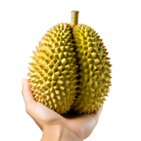 ai generado cerca arriba de mano con maduro Durian png