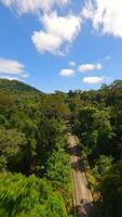 velozes fpv zangão voar sobre tropical estrada. video