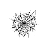 Doodle spider web icon on white background. vector