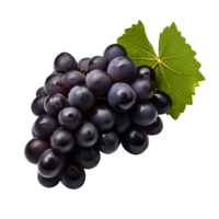 AI generated Black Grape with transparent background PNG