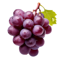 AI generated Grape varieties with transparent background PNG