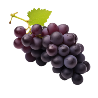 AI generated Black Grape with transparent background PNG