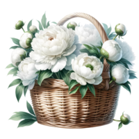 ai gegenereerd levendig illustratie van wit pioenen in vol bloeien geregeld in een traditioneel rieten mand, versierd met groen gebladerte. png