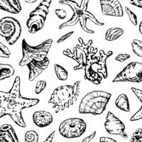 resumen mar ornamento. bocetos de estrellas de mar, conchas, piedras, algas marinas, coral. vector sin costura modelo de submarino vida. retro contorno estilo diseño.