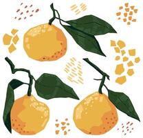 Set of tangerines in modern geometric style. Vector illustration of citrus fruits with leaves. Bright colored clip arts isolated on white. Elements for contemporary design.