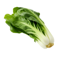 AI generated Bok Choy Transparency on a Clear Background, Seamless Integration Assured png