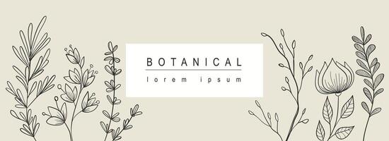 Botanical abstract background with floral line art design. Horizontal web banner with minimal elegant composition of blooming flowers, foliage greenery and twigs with leaves. Vector illustration.