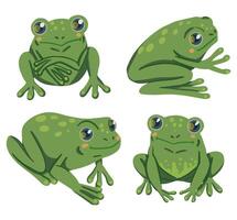 Frogs hand drawn vector illustrations. Colorful collection in scandinavian style. Abstract cartoon reptile animals cliparts isolated on white background.