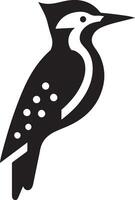 Woodpeckers bird logo concept, black color silhouette,  white background 2 vector
