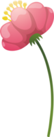 Blumen- Elemente. Blume und Grün Blätter. Hochzeit Konzept png