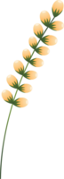 Blumen- Elemente. Blume und Grün Blätter. Hochzeit Konzept png