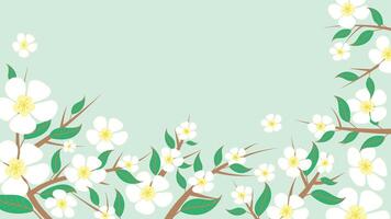 Abstract Jasmine flower background Vector design floral frame