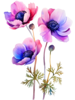 AI generated Anemones Minimalist watercolor flower png