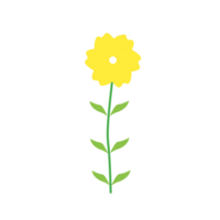 bloemen dat maken bloemblaadjes png