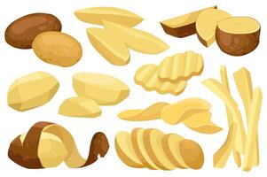 Realistic potato mega set graphic elements in flat design. Bundle of raw whole root crops and sliced pieces in different shapes for cooking, chips and fries. Vector illustration isolated objects