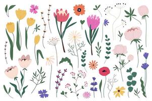 Flowers and herbs mega set graphic elements in flat design. Bundle of abstract wildflowers, peony, pop, tulip and other spring blossoms, wild plants with leaves. Vector illustration isolated objects