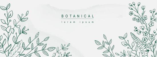 Botanical abstract background with floral line art design. Horizontal web banner in minimal style with hand drawn leaves, plants, blooming flowers, different twigs and branches. Vector illustration.