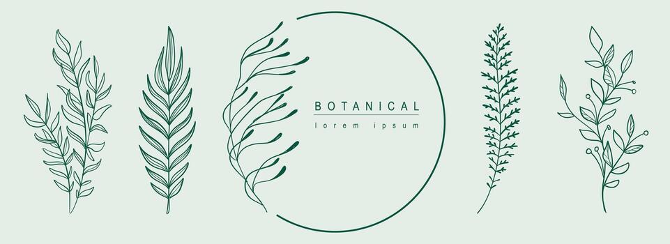 Botanical abstract background with floral line art design. Horizontal web banner in minimal style with composition set of elegant herbs and green leaves, twig in circle shape. Vector illustration.