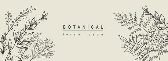 Botanical abstract background with floral line art design. Horizontal web banner with herbal composition of different meadow grass, twigs with leaves and foliage plants elements. Vector illustration.